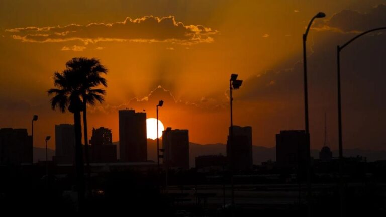 5a6d5c1a db2a 424e 834c 1d76805846a7 file.jpg