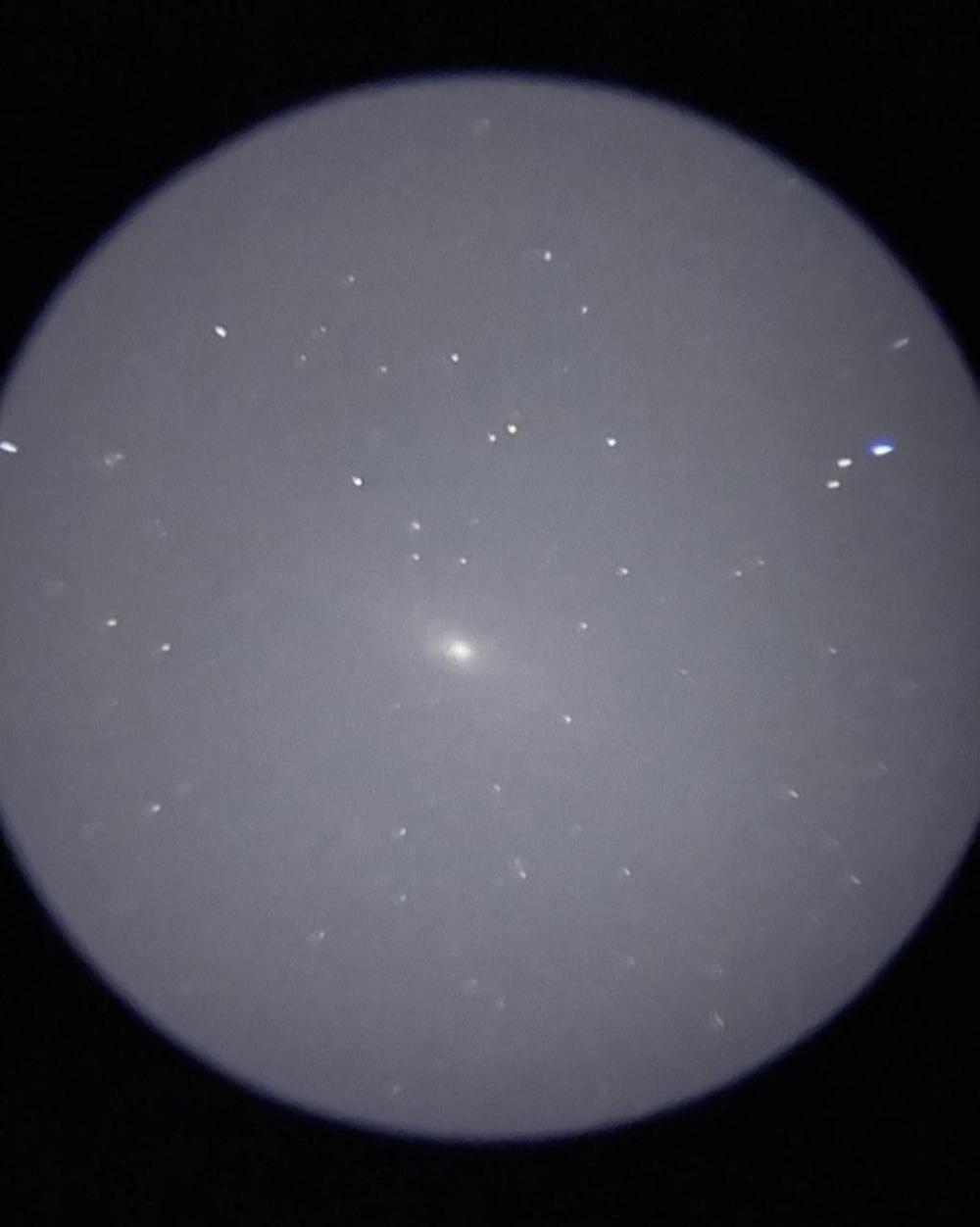 5c71b77f c80b 428b 86ca bf4582a49c03 file.jpg