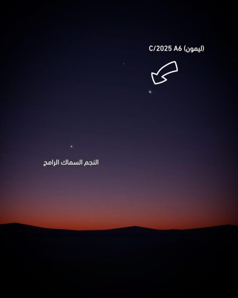 5f3b7747 1e8e 471d 946f dfb3fb6749d7 file.jpg