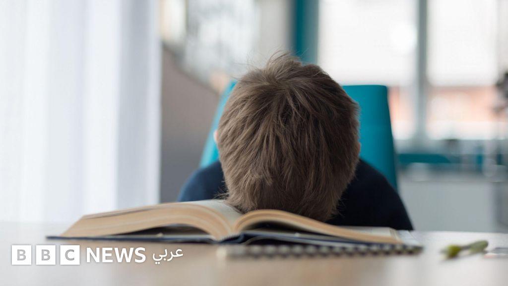 5fcea1b7 5a37 4b61 b21a 68d2a5312cce file.jpg