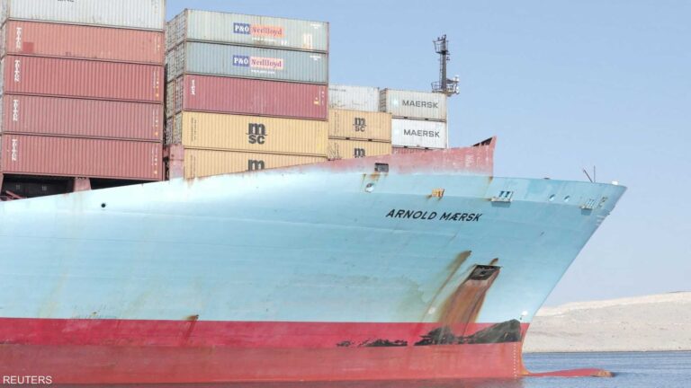 611bb373 7404 4004 a901 49b47b9ab390 file.jpeg