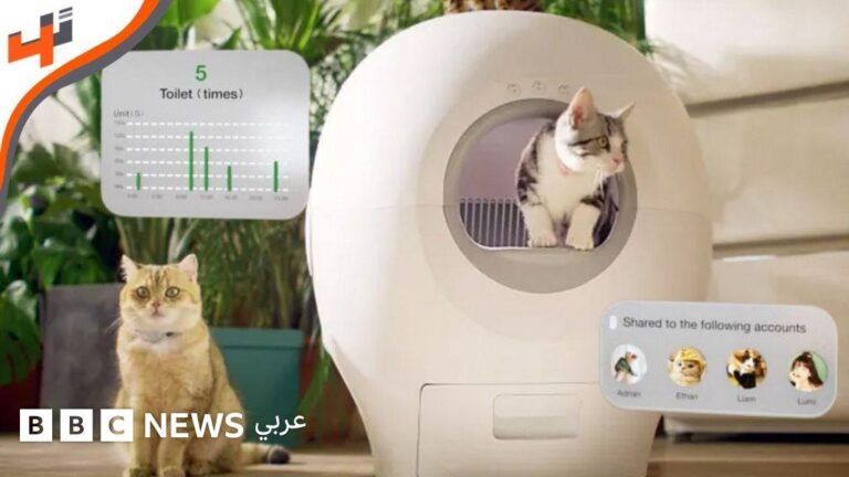 62066cf0 b737 49db 9a71 b06254022f66 file.jpg