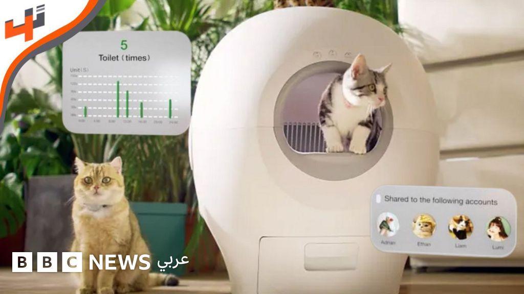 62066cf0 b737 49db 9a71 b06254022f66 file.jpg