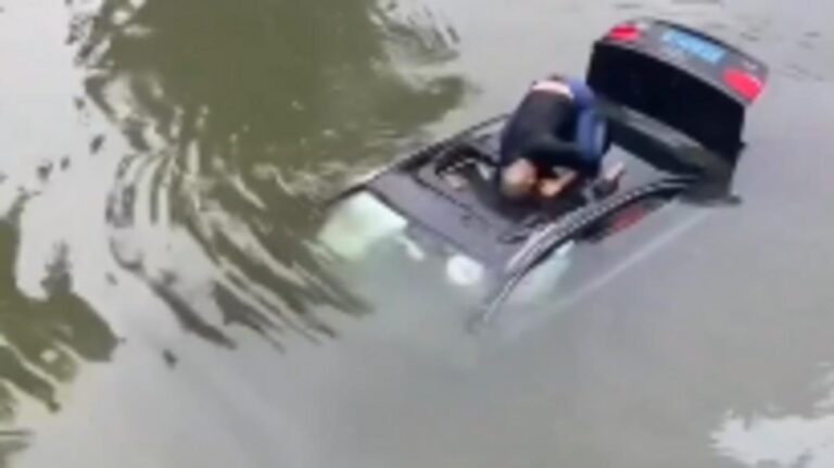 66d460e2 5ebe 4cdf 8824 7dd8310b670e file.jpg