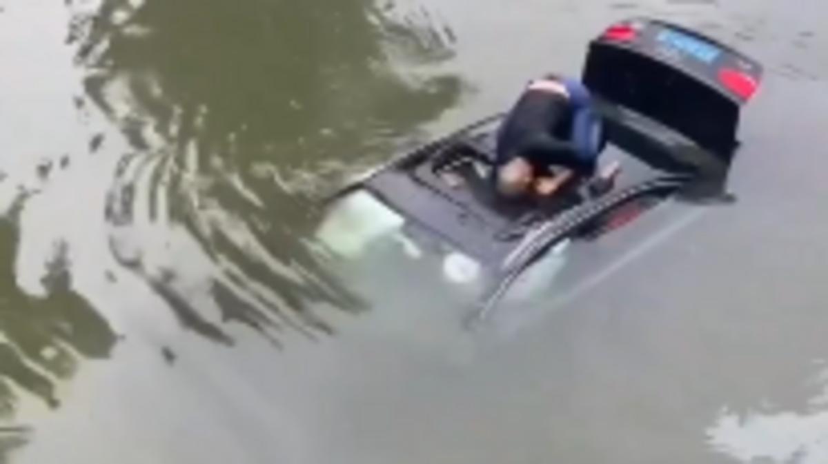 66d460e2 5ebe 4cdf 8824 7dd8310b670e file.jpg