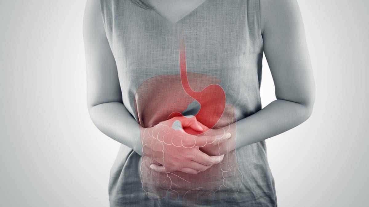 67fe8146 a454 42ca 966e 55d2de7e54c4 file.jpg