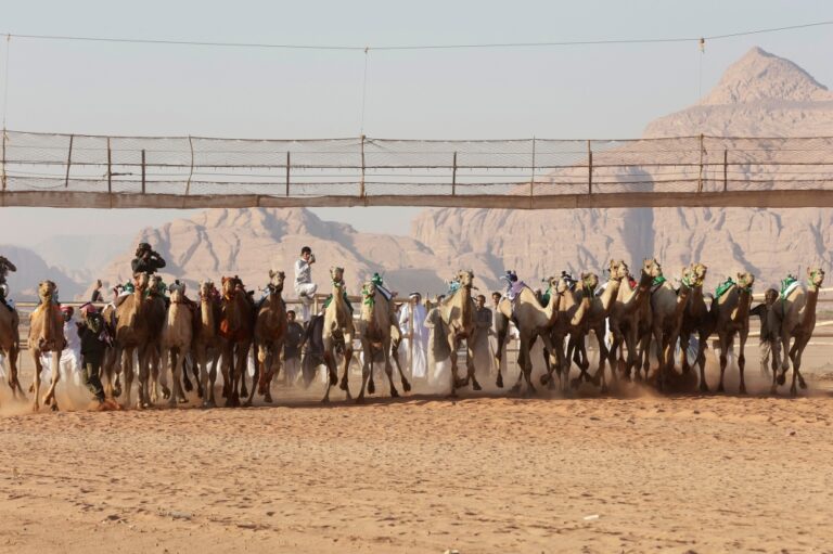 إعلان البرنامج الزمني لكأس الأولمبية السعودية للهجن في رماح
