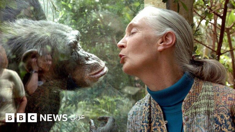 6b25a04c 10dc 46ed a060 e4d5c4843827 file.jpg