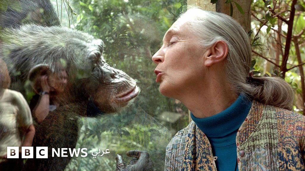 6b25a04c 10dc 46ed a060 e4d5c4843827 file.jpg