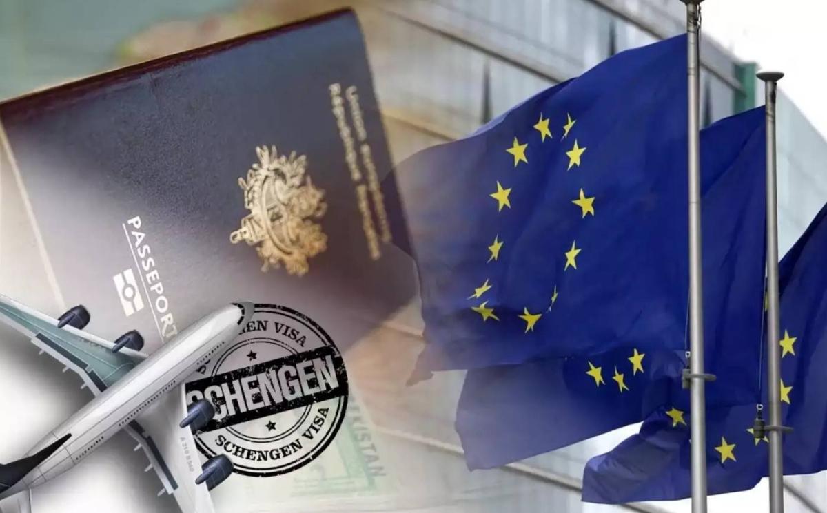 6dd378df 3d22 4d8a 988d ff6f3f36a069 file.jpg