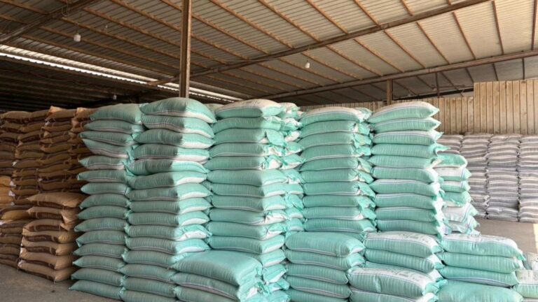 70a416e7 d89a 4843 bcf8 a338c229bafc file.jpg