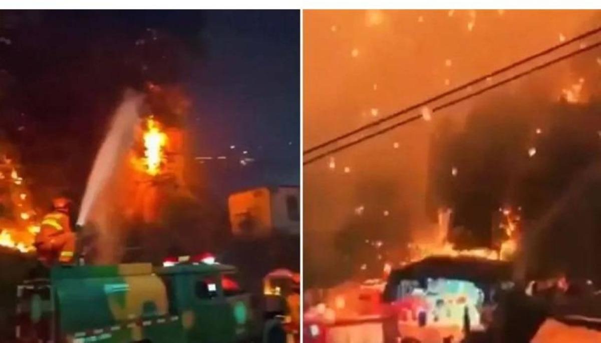 71c41c18 6466 4d9b 85bf 339b29175c11 file.jpg