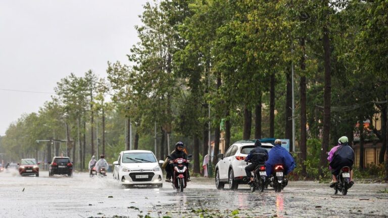 7398b99d 542c 4587 84af 33a10483734d file.jpg