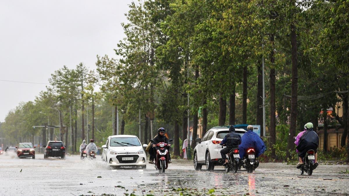 7398b99d 542c 4587 84af 33a10483734d file.jpg