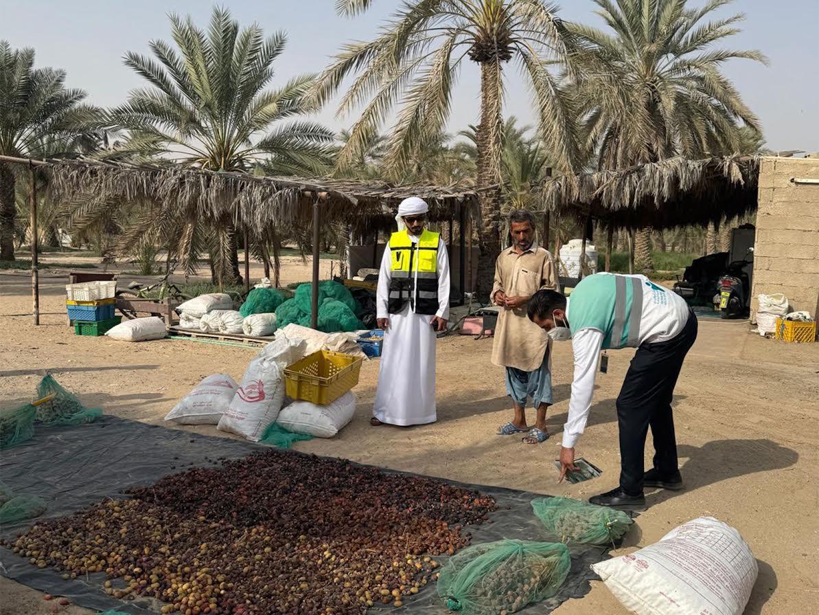 739ba386 81e2 4207 b266 0f37f72dc0b3 file.jpg