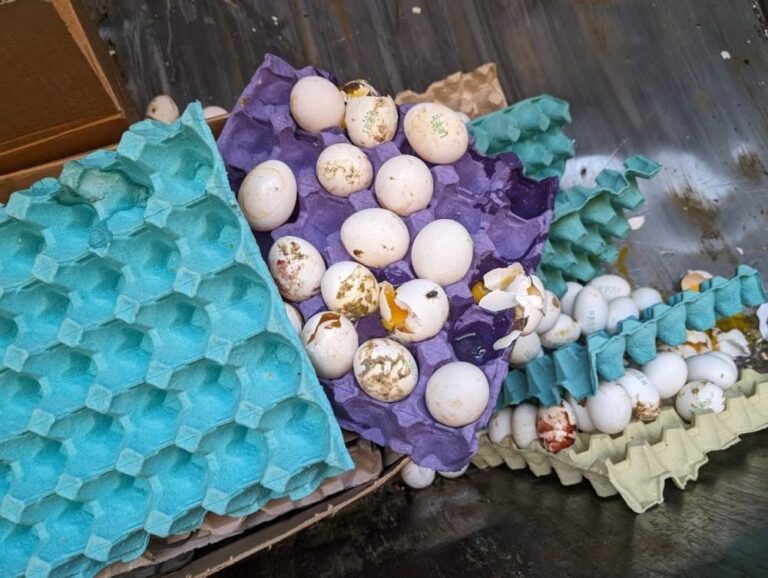 74c49b28 0688 4392 bfc5 f3d051686dc6 file.jpg