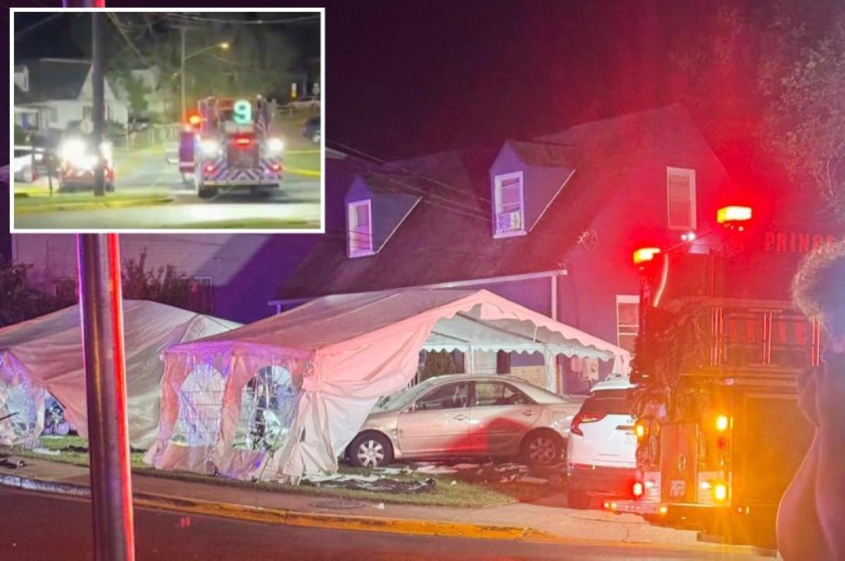 74e97d2a 864a 42b7 8c78 3101a9e990e8 file.jpg