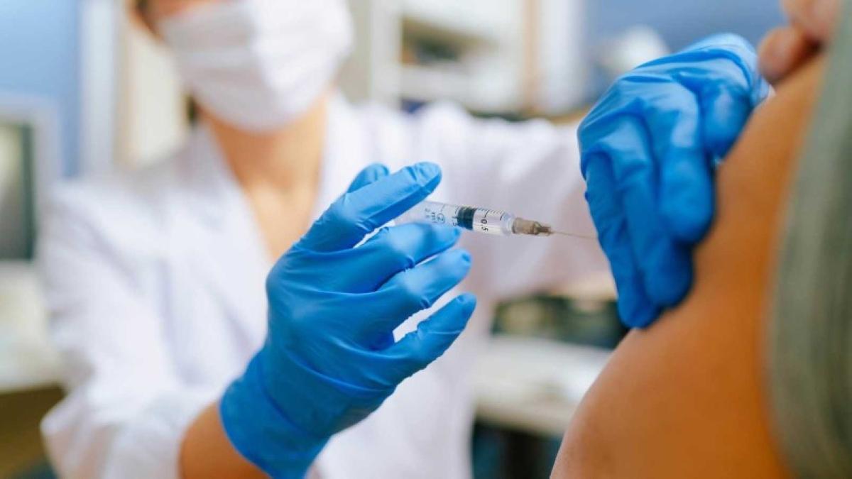 753b7fe4 cc26 455b 9820 9c43df5c82a9 file.jpg