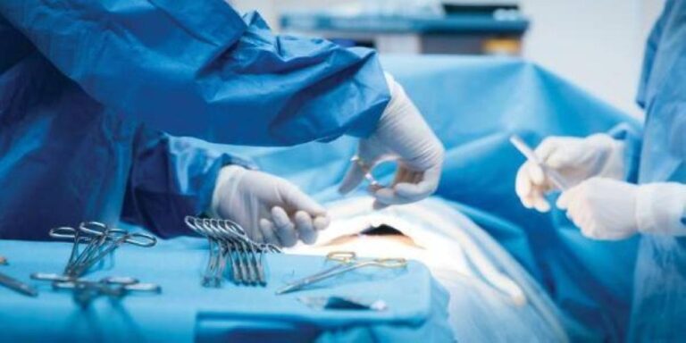 794d0a9c e7a3 49d4 adb5 875409a5ed47 file.jpg