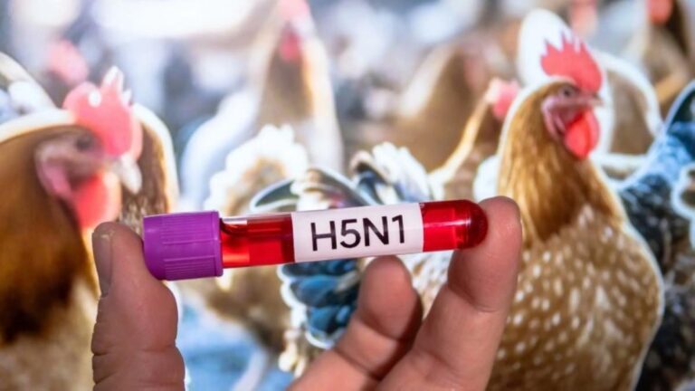 7975cd84 d154 4905 9c94 5e6c44da87fa file.jpg