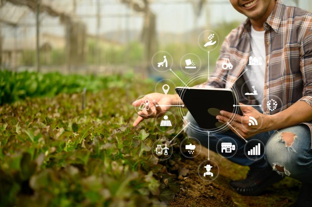 7ab3e7f7 ddf9 4f11 89ea 654be10d5a83 file.jpg