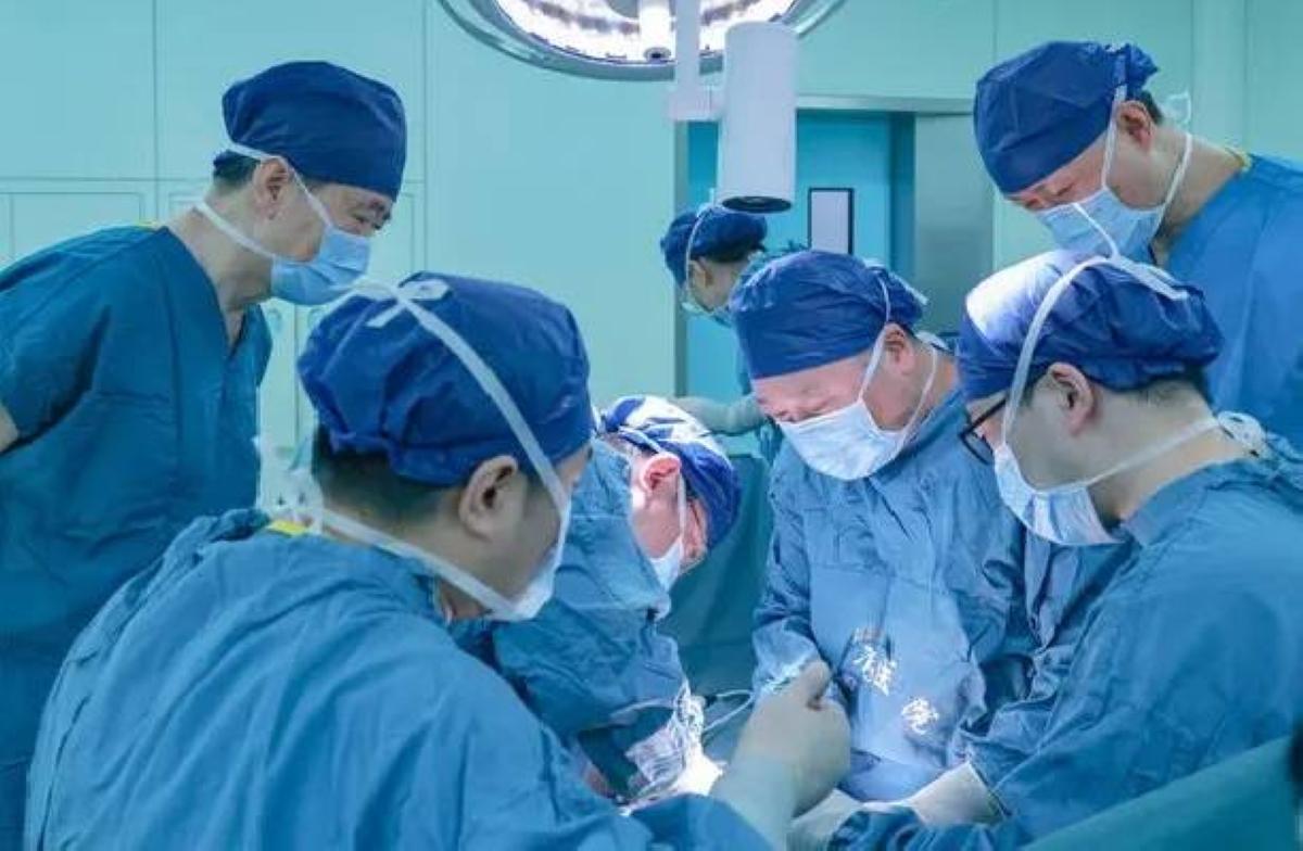 7b6ee6c8 ef79 4c67 92fe f4a281a78f11 file.jpg