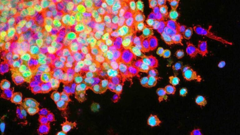 7c996695 f5aa 49c7 9663 6373cf78d7a8 file.jpg