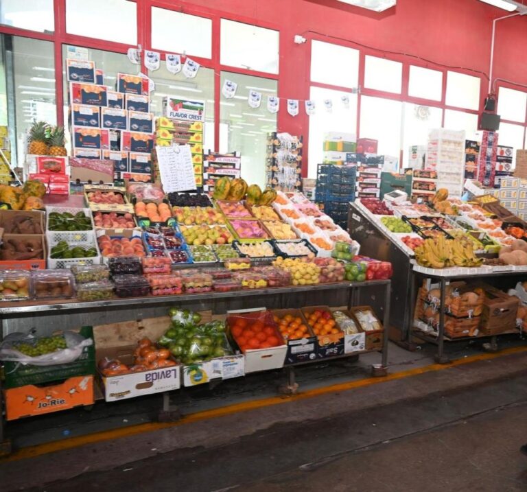 819aa0cc 7f99 4476 a2dc 4a7caf276e0c file.jpg