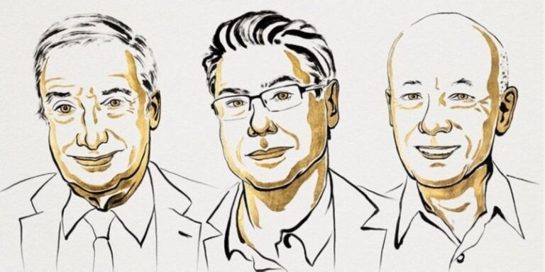 82d42533 4c23 42e1 b070 8770029b9578 file.jpg