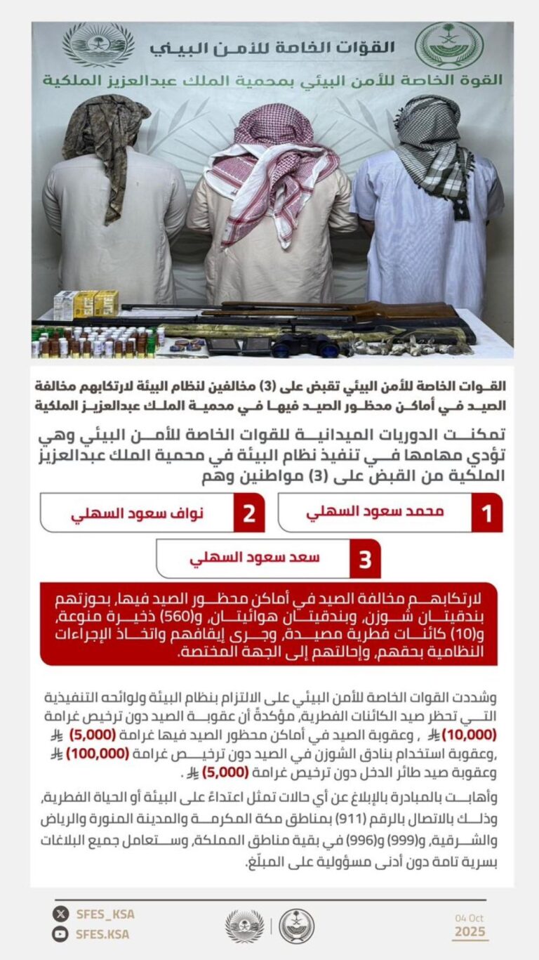 84aef03b 0e56 4ff1 99a7 0d0a9865da2d file.jpg