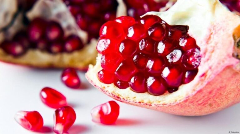 87338955 3e39 4fa2 91bb f58bffeb607b file.jpg