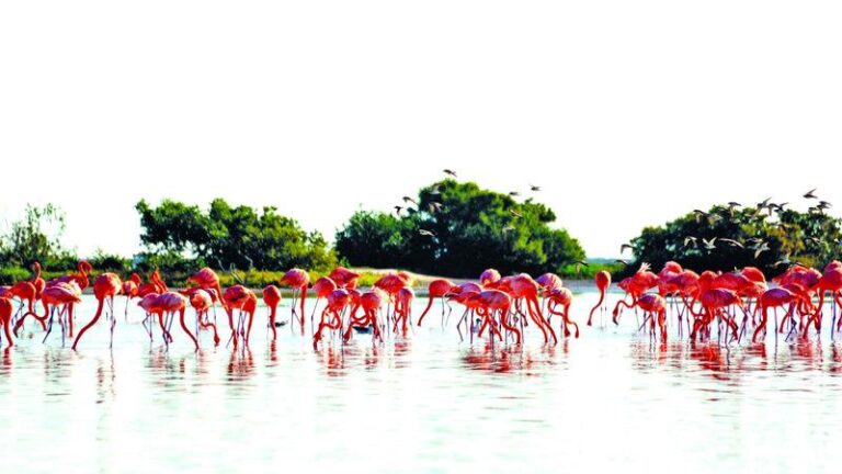 88f0f9cb 5c48 4616 80fd 25af82fcfc54 file.jpg