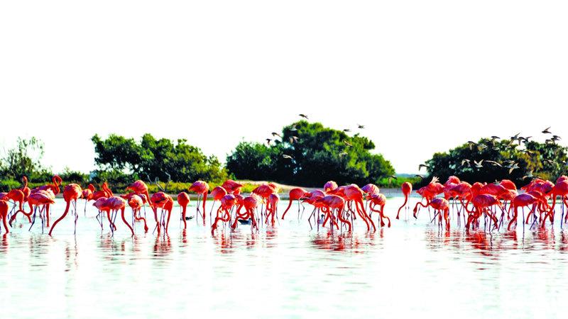 88f0f9cb 5c48 4616 80fd 25af82fcfc54 file.jpg