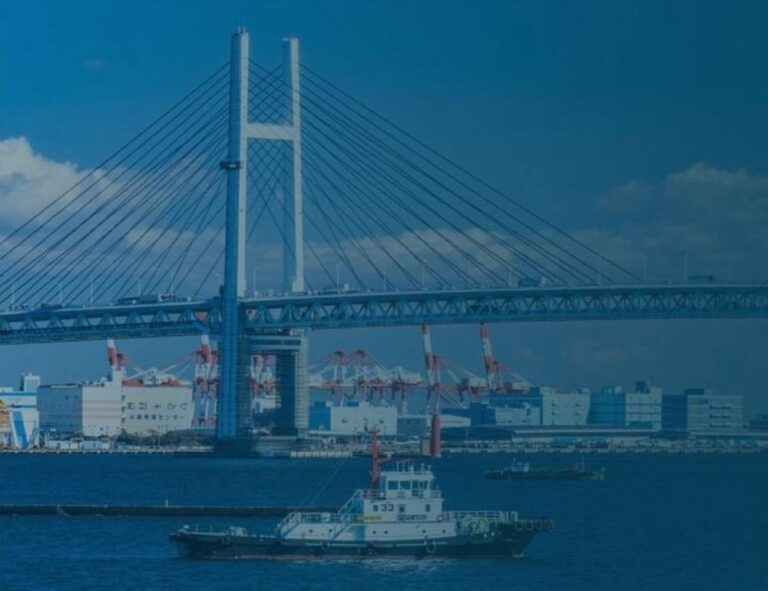 8936d928 1642 403d a94b 59fe6c08ee1d file.jpg