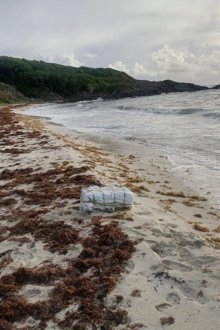 8a1d13ec ad2b 4096 bde8 ea7e018c02b3 file.jpg