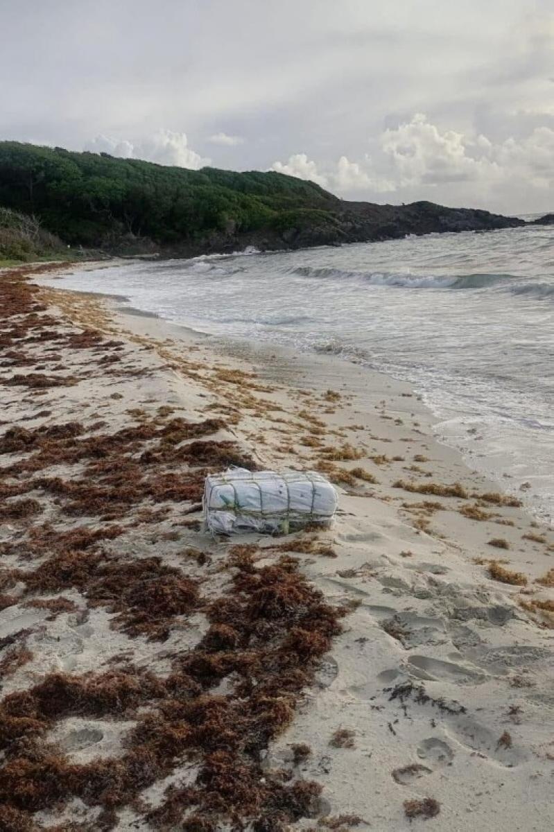 8a1d13ec ad2b 4096 bde8 ea7e018c02b3 file.jpg