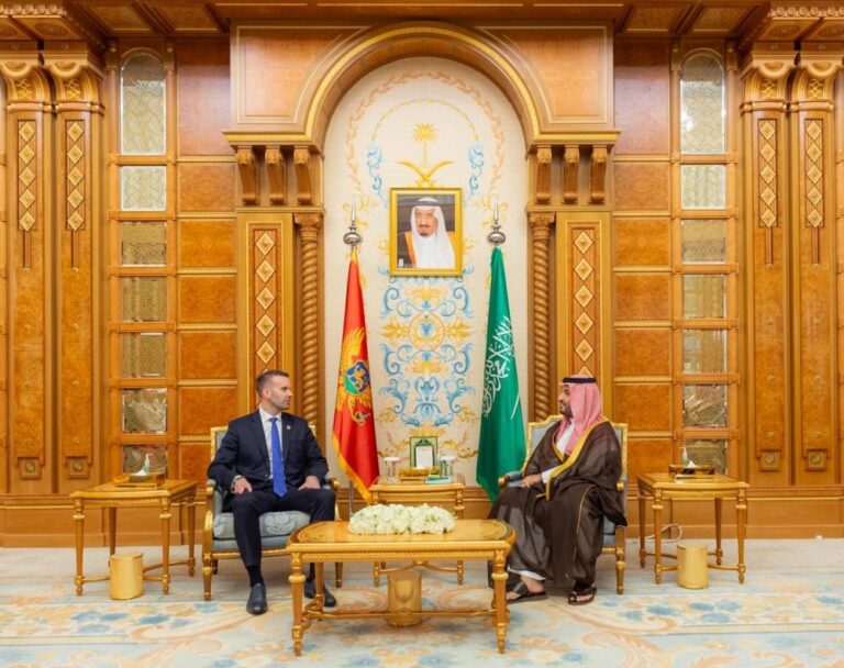 8a5f0754 22b8 4081 81ae 235f4c611429 file.jpg