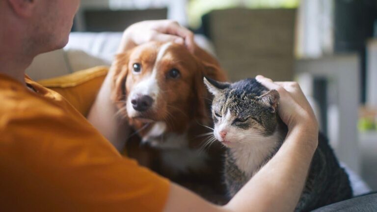 8c6ef3e2 23a2 47e2 bae6 3ac6a5bbc312 file.jpg