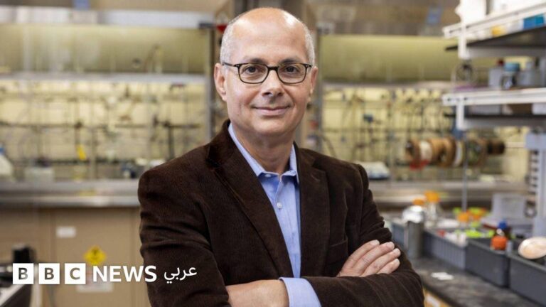 8dac5835 801a 4fd7 ace8 e38ef25457d7 file.jpg