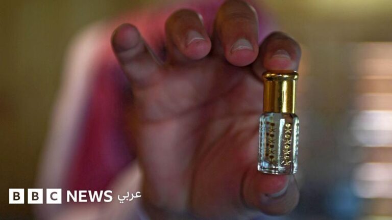 8fa56067 f20e 406d ad82 a0016ac62c0b file.jpg