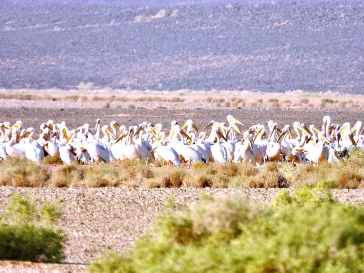 8ffe7050 4440 44e0 ae61 facb1e8470ba file.jpg