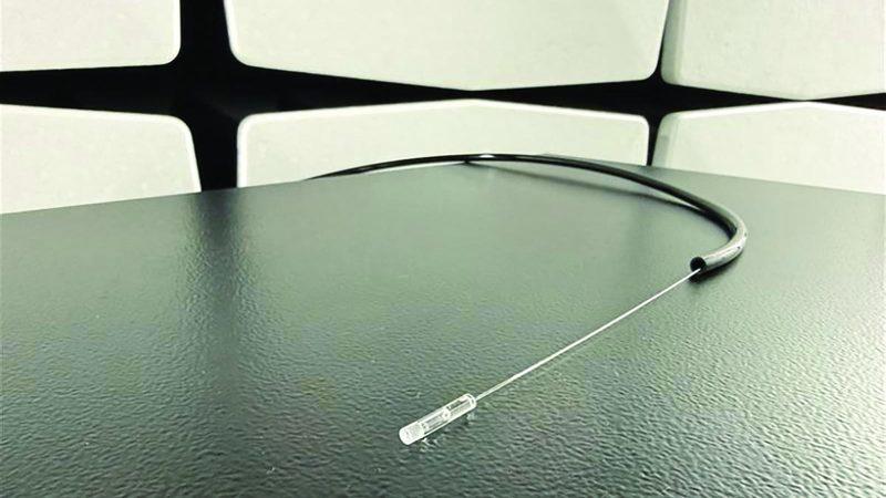 9339631e b166 48f5 a35c 7393e4013ffd file.jpg