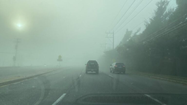 93923602 8aab 454f a738 6689f39cafa3 file.jpg