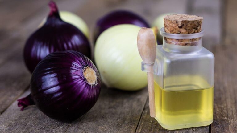 94aa27b9 bc6e 44c6 98ab 42431ffd01ca file.jpg