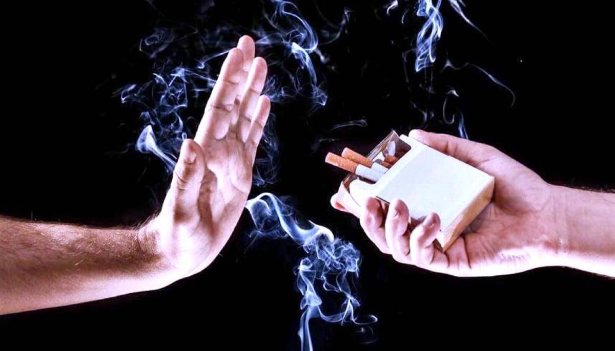 95619b08 a020 4d0e bc80 89714d712f31 file.jpg