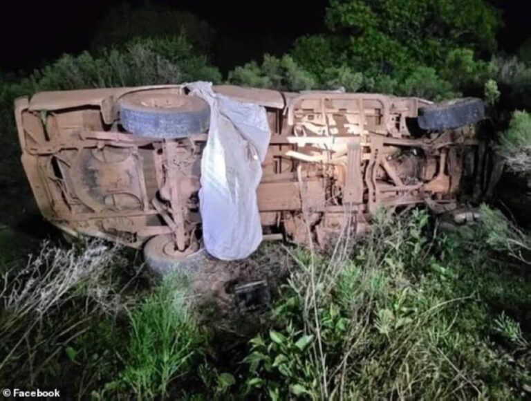 959ff700 e881 4943 9b4f ce5ba019693e file.jpg