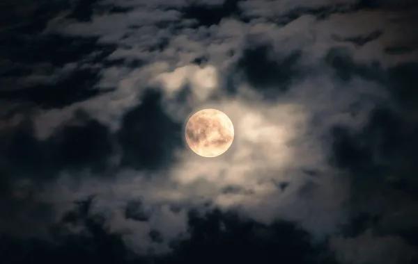 96252aef bea5 4c77 ac4b 6c68fb9806a5 file.jpg