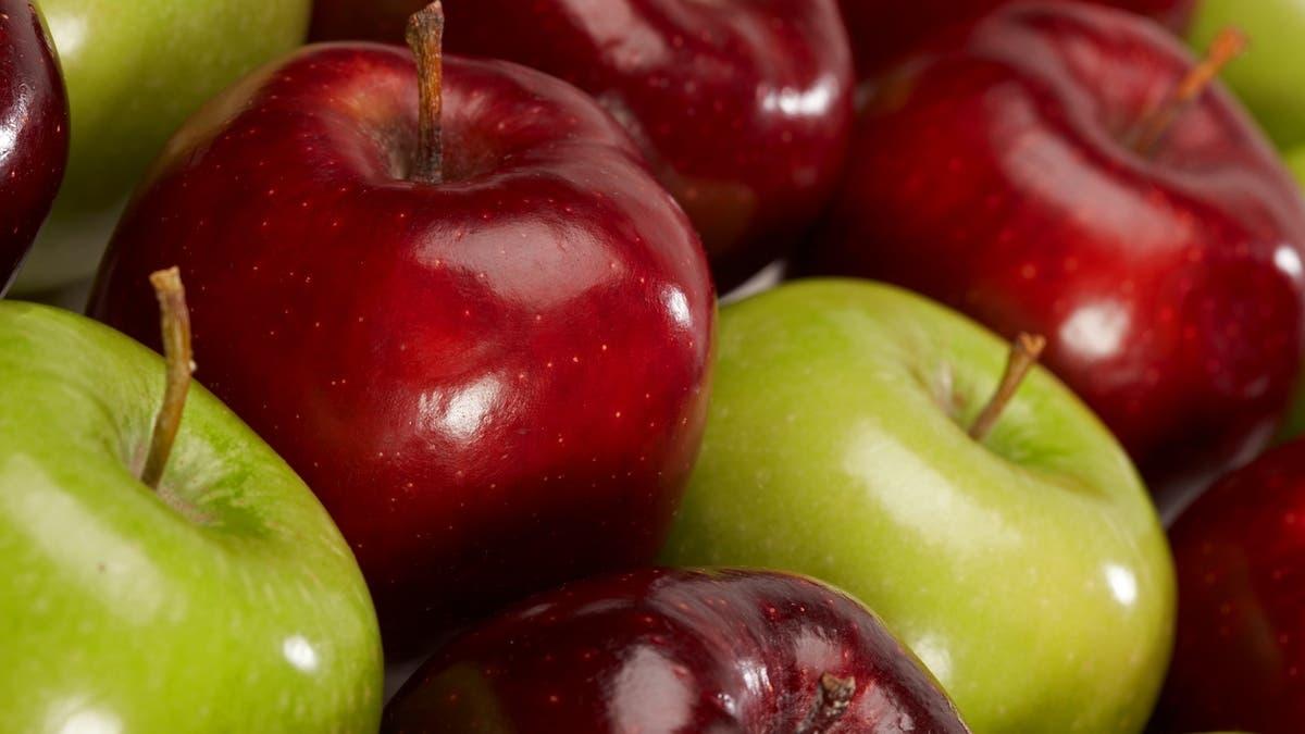 96e11562 c50e 4400 9e77 82e9ea1e33e8 file.jpg