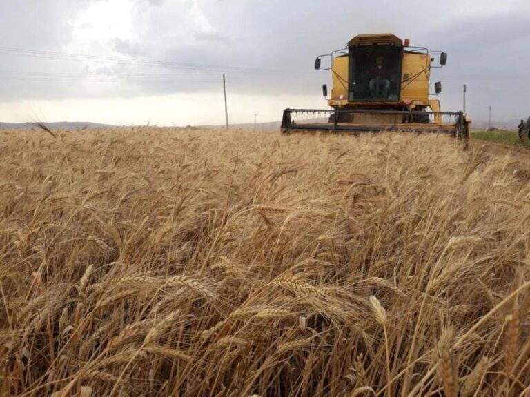 970ebcda e0da 48de 9d67 a2e97a5ea785 file.jpg