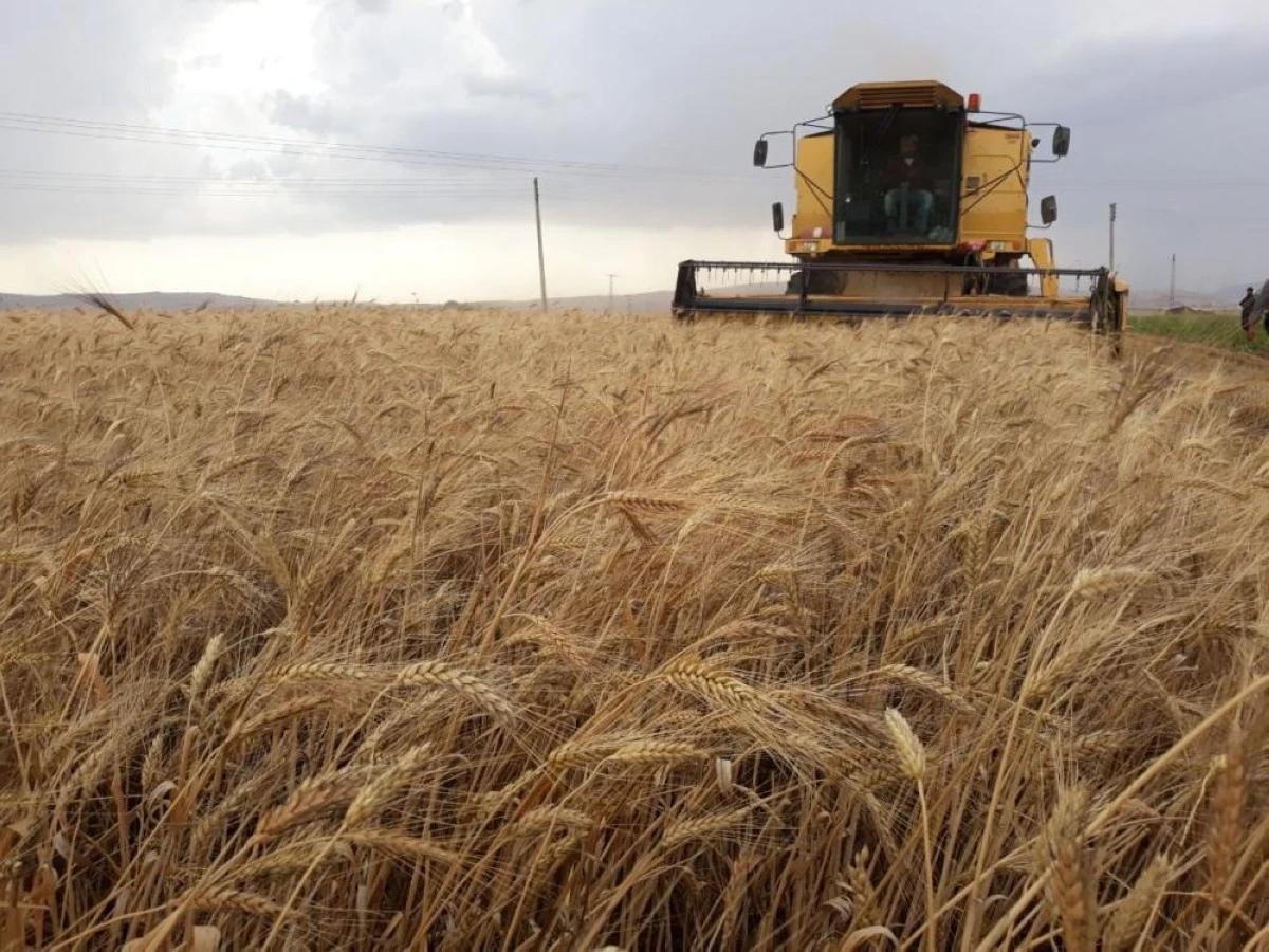 970ebcda e0da 48de 9d67 a2e97a5ea785 file.jpg